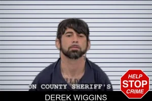 Derek Wiggins mugshot