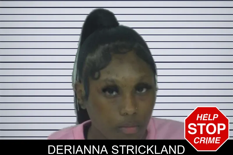 Derianna Strickland mugshot – Fayette County , Georgia Derianna Strickland mugshot
