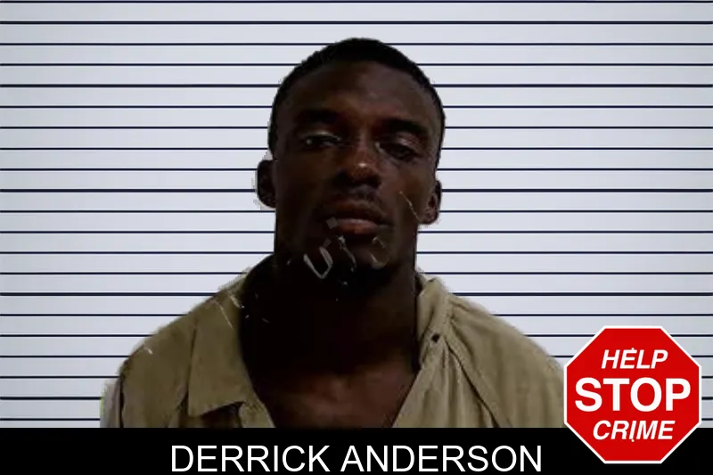 Derrick Anderson mugshot