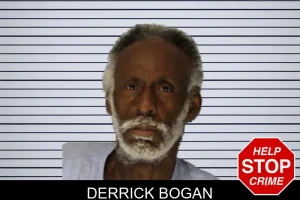 Derrick Bogan mugshot