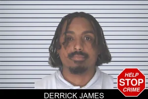 Derrick James mugshot