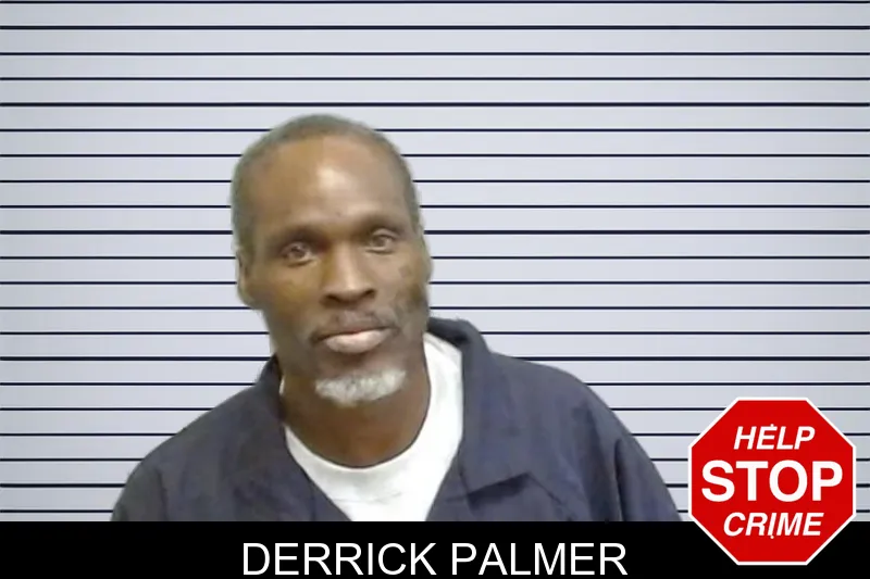 Derrick Palmer mugshot