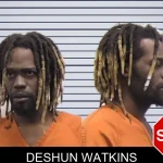 Deshun Watkins mugshot