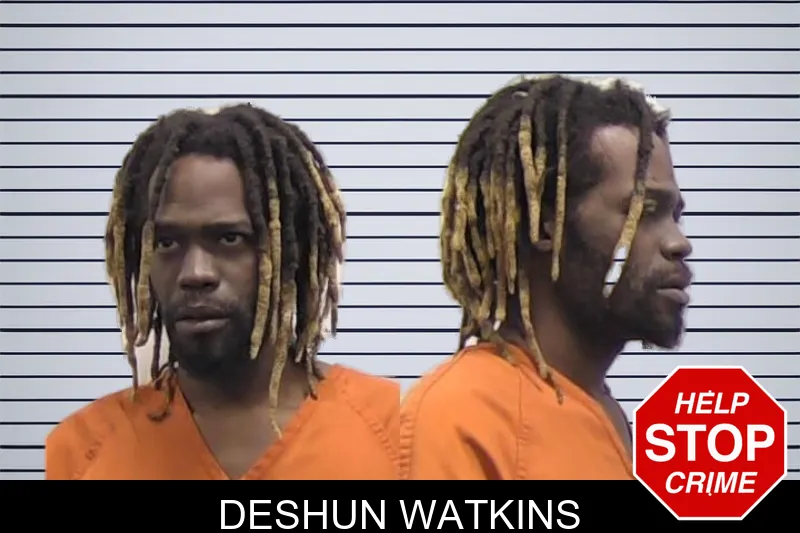 Deshun Watkins mugshot