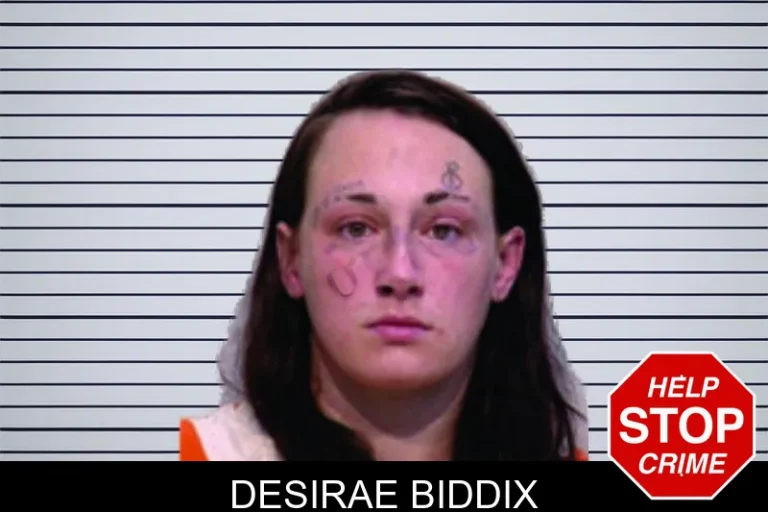 Desirae Biddix mugshot – Bartow County , Georgia Desirae Biddix