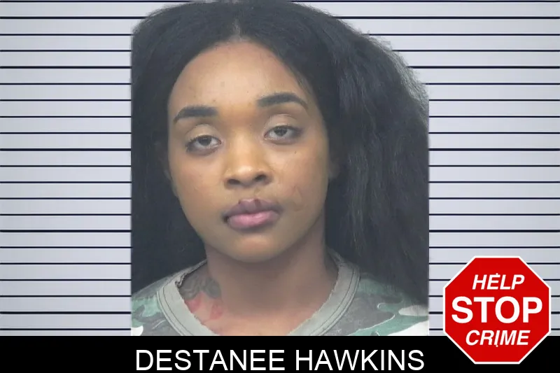 Destanee Hawkins mugshot – Gwinnett County , Georgia Destanee Hawkins mugshot