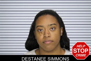 Destanee Simmons mugshot