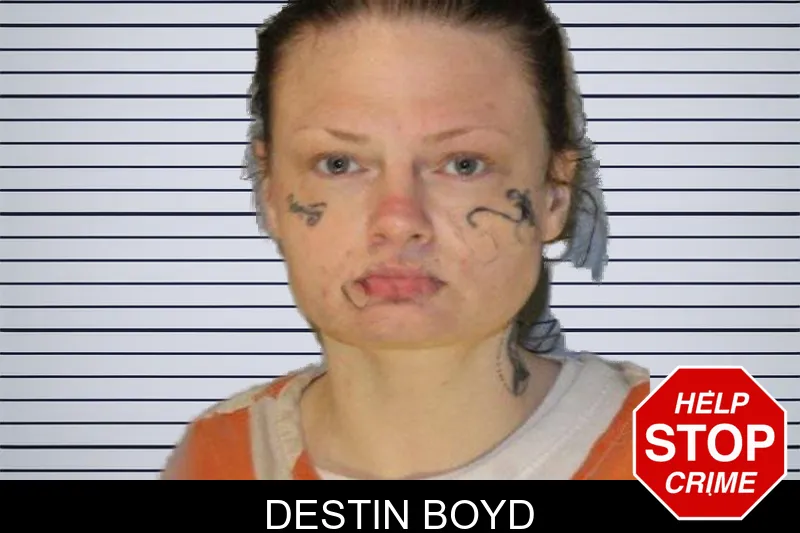 Destin Boyd mugshot