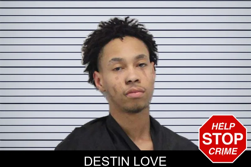 Destin Love mugshot
