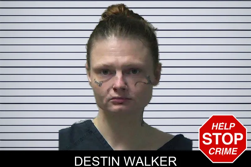 Destin Walker mugshot