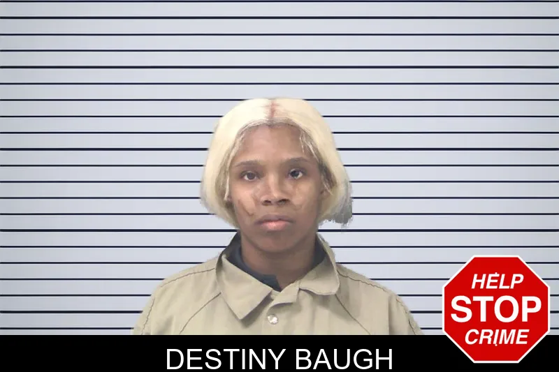 Destiny Baugh mugshot – Douglas County , Georgia Destiny Baugh mugshot