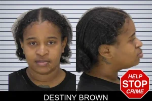 Destiny Brown mugshot