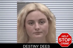 Destiny Dees mugshot