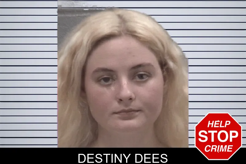 Destiny Dees mugshot