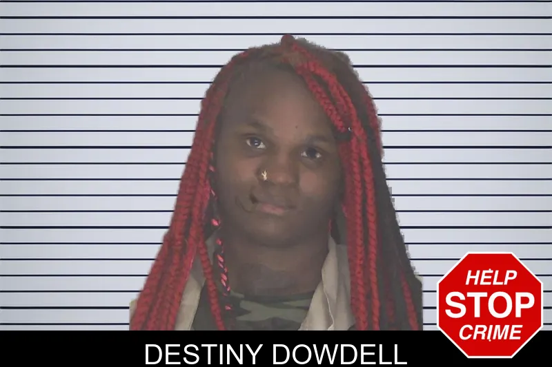 Destiny Dowdell mugshot