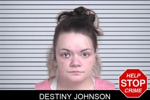 Destiny Johnson mugshot
