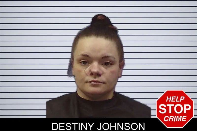 Destiny Johnson mugshot