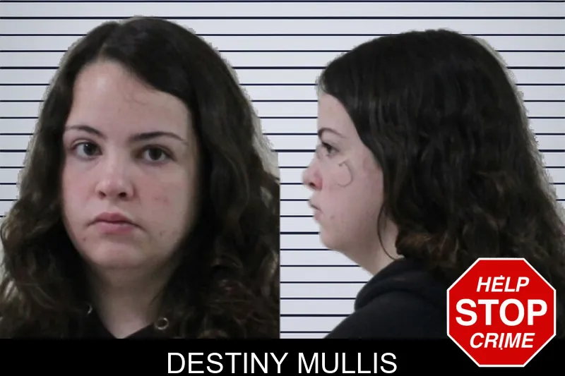 Destiny Mullis mugshot – Houston County , Georgia Destiny Mullis mugshot