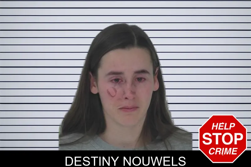 Destiny Nouwels mugshot