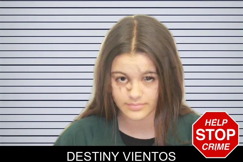 Destiny Vientos mugshot