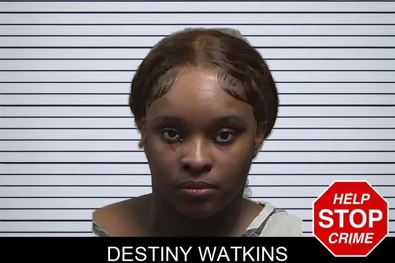 Destiny Watkins mugshot
