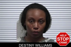 Destiny Williams mugshot