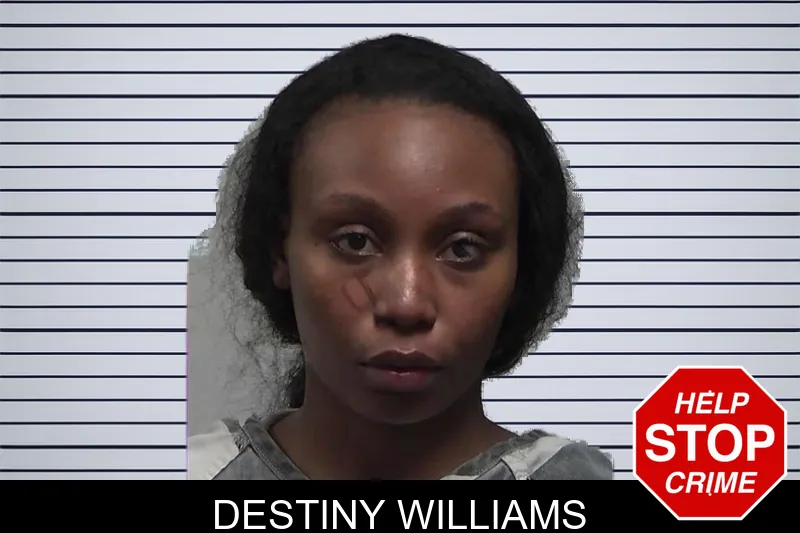 Destiny Williams mugshot