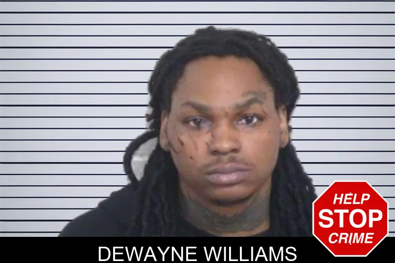 Dewayne Williams mugshot – Washington County , Georgia Dewayne Williams mugshot