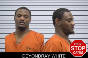 Deyondray White mugshot