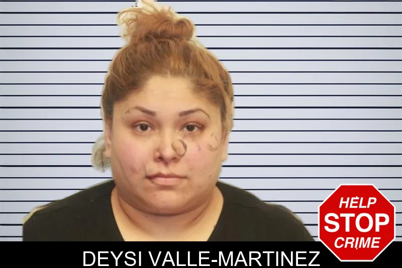 Deysi Valle-Martinez mugshot – Chatham County , Georgia Deysi Valle-Martinez mugshot