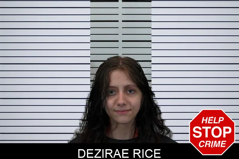 Dezirae Rice mugshot – Hart County , Georgia Dezirae Rice mugshot