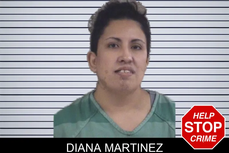Diana Martinez mugshot