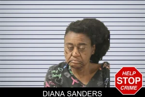 Diana Sanders mugshot