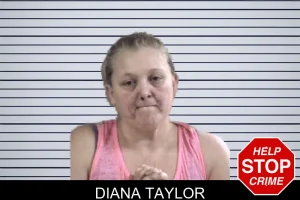 Diana Taylor mugshot