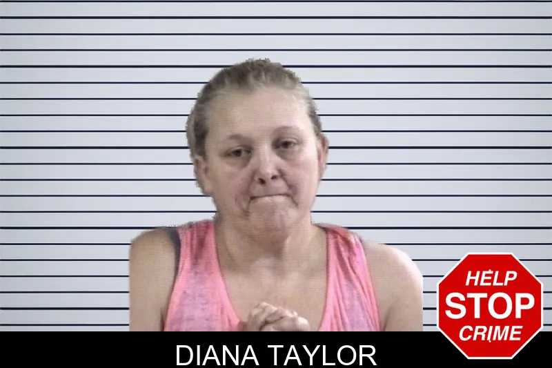 Diana Taylor mugshot – Whitfield County , Georgia Diana Taylor mugshot