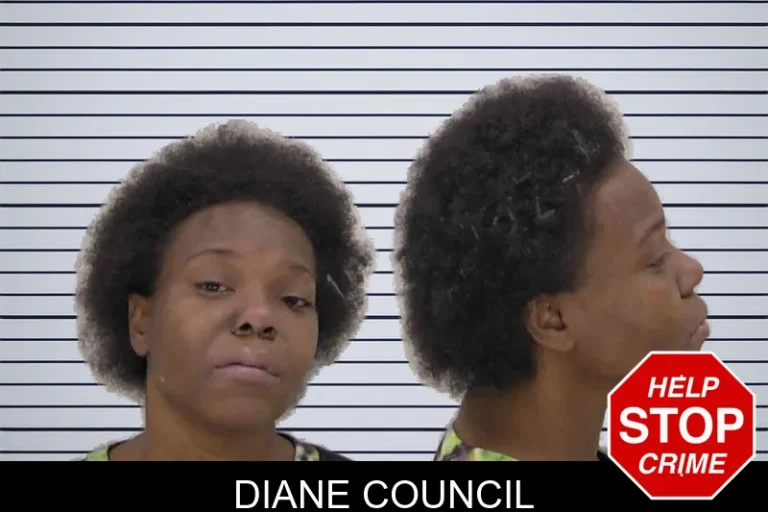 Diane Council