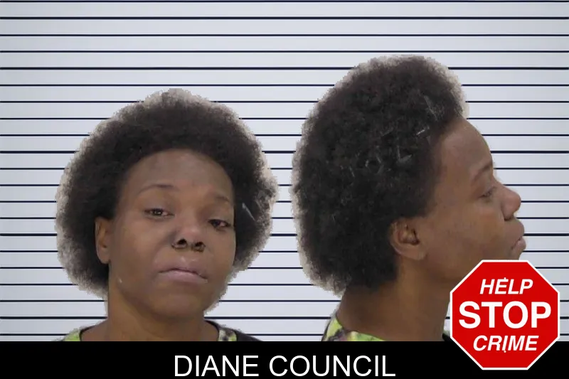 Diane Council mugshot