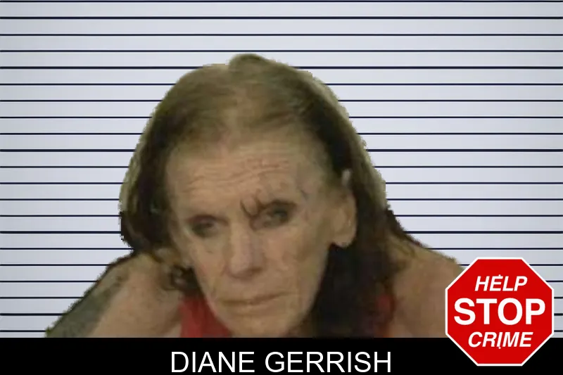 Diane Gerrish mugshot
