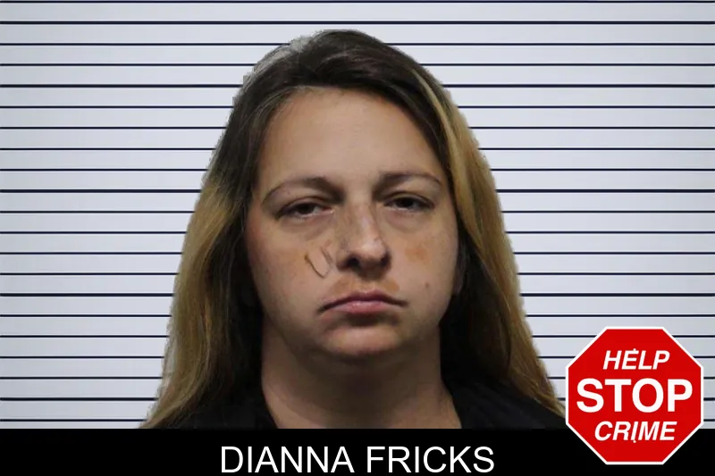 Dianna Fricks mugshot