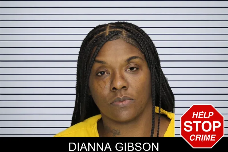 Dianna Gibson mugshot
