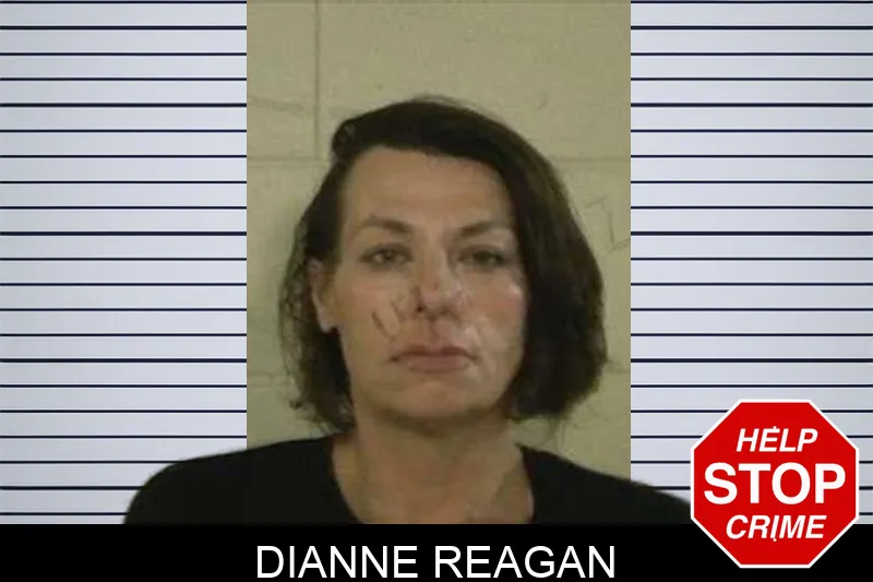 Dianne Reagan mugshot