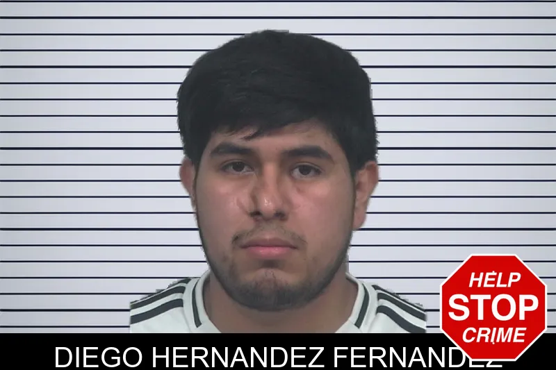 Diego Hernandez Fernandez mugshot
