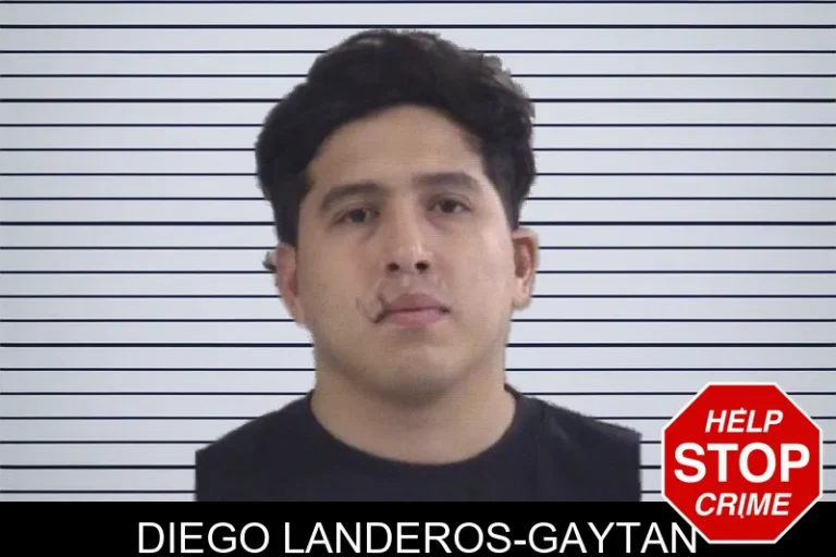 Diego Landeros-Gaytan