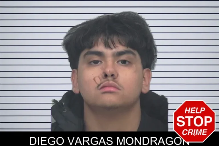 Diego Vargas Mondragon