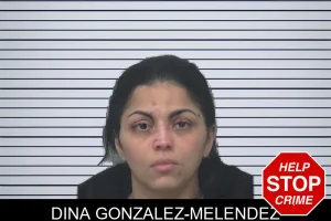 Dina Gonzalez-Melendez mugshot