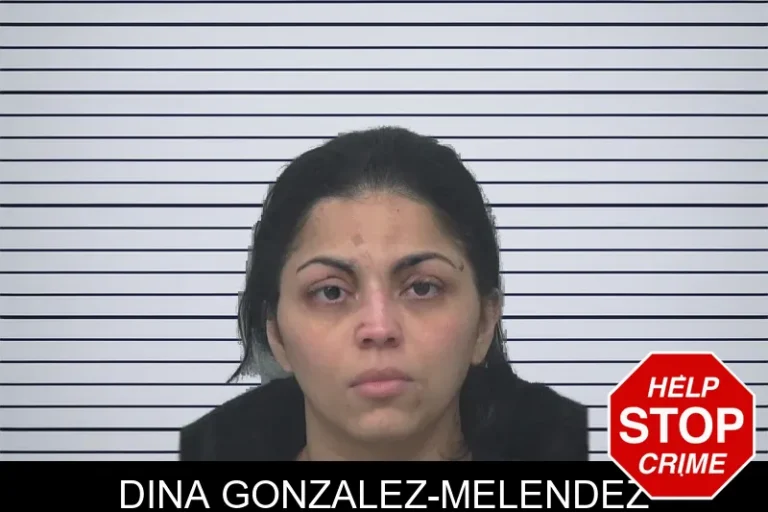 Dina Gonzalez-Melendez mugshot – Gwinnett County , Georgia Dina Gonzalez-Melendez