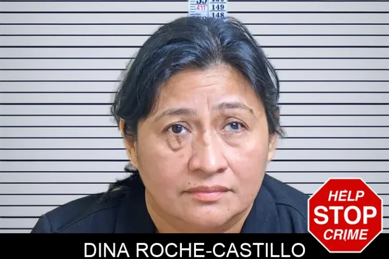 Dina Roche-Castillo
