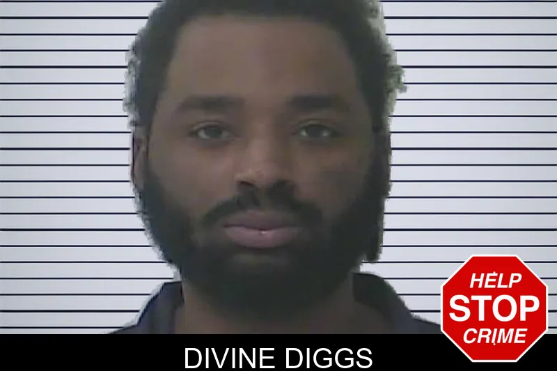 Divine Diggs mugshot