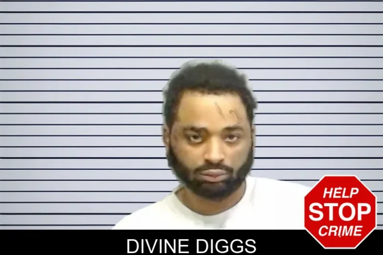 Divine Diggs