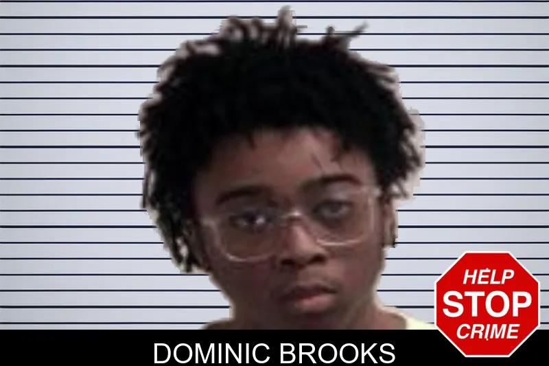 Dominic Brooks mugshot